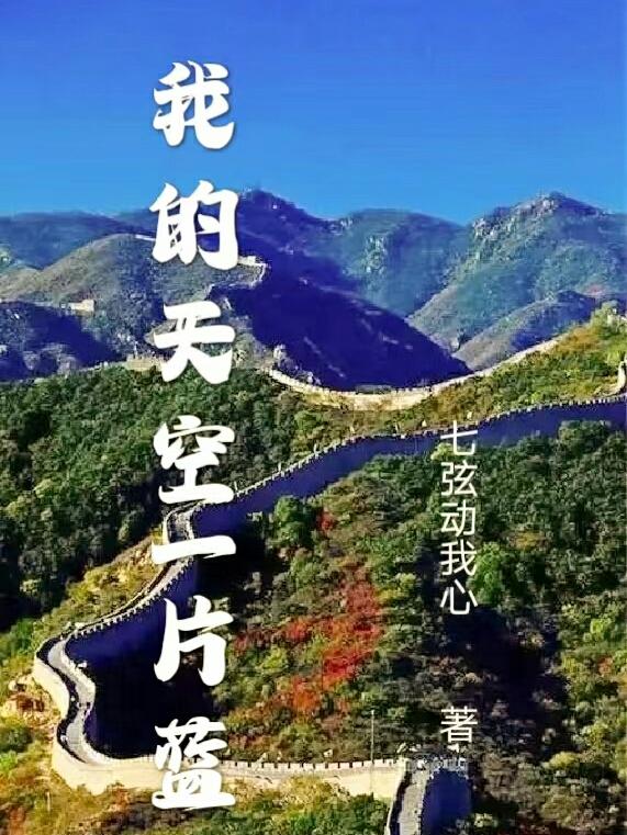 我的天空一片蓝最新章节