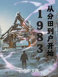 1983：从分田到户开始免费阅读