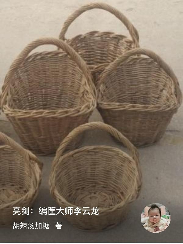 亮剑：编筐大师李云龙免费阅读