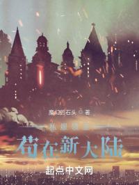 私服领主苟在新大陆免费阅读