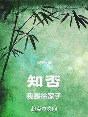 知否:我是徐家子最新章节